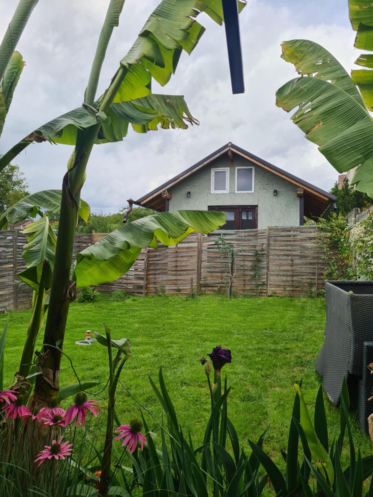 Cozy Cottage - Free Parking, Self Check-In Nagyvárad Kültér fotó